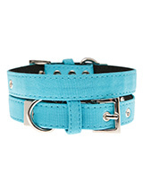Neon Blue Fabric Collar - Our high visibility Neon Blue collar has a clean contemporary bold style. It is lightweight and incredibly strong. The collar has been finished with chrome detailing including the eyelets and tip of the collar. A matching lead and harness are available to purchase separately. This high visibility st...