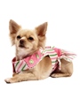 Chloe's Beverly Hills Chihuahua Dress Set