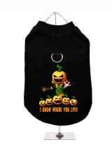 ''Halloween: Pumpkin Head'' Harness-Lined Dog T-Shirt
