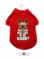 ''Christmas: Is It Too Late To Be Good?'' Dog T-Shirt